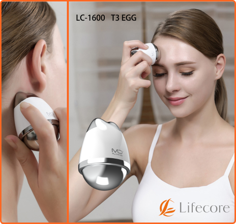 Lifecore LC-1600 T3 EGG